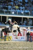 Calgary Stampede - Photo Credit: Travel Alberta