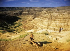 Dinosaur Dig, Royal Tyrrell Museum of Palaeontology, Drumheller - Photo Credit: Travel Alberta