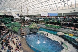 Dolphin Show & Santa Maria Ship, West Edmonton Mall - Photo Credit: Travel Alberta